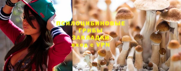 метадон Армянск