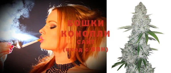 сатива Алексин